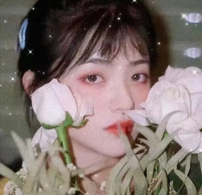 甄嬛传