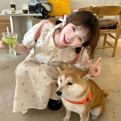 南来北往